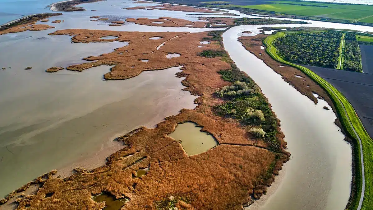 articolo blog delta del po veneto img