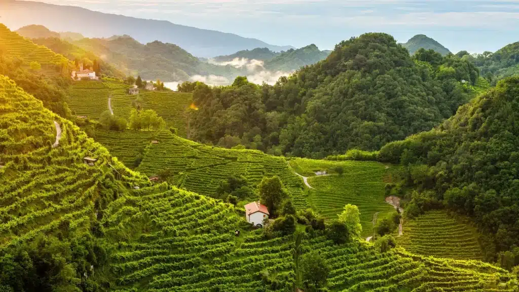 articolo blog strada del prosecco in auto img