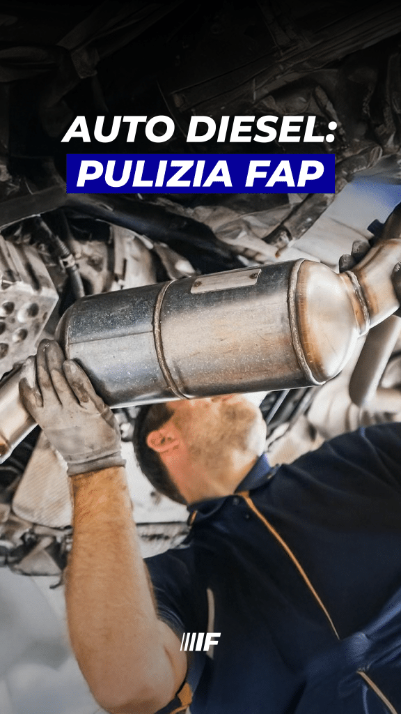 PULIZIA FAP